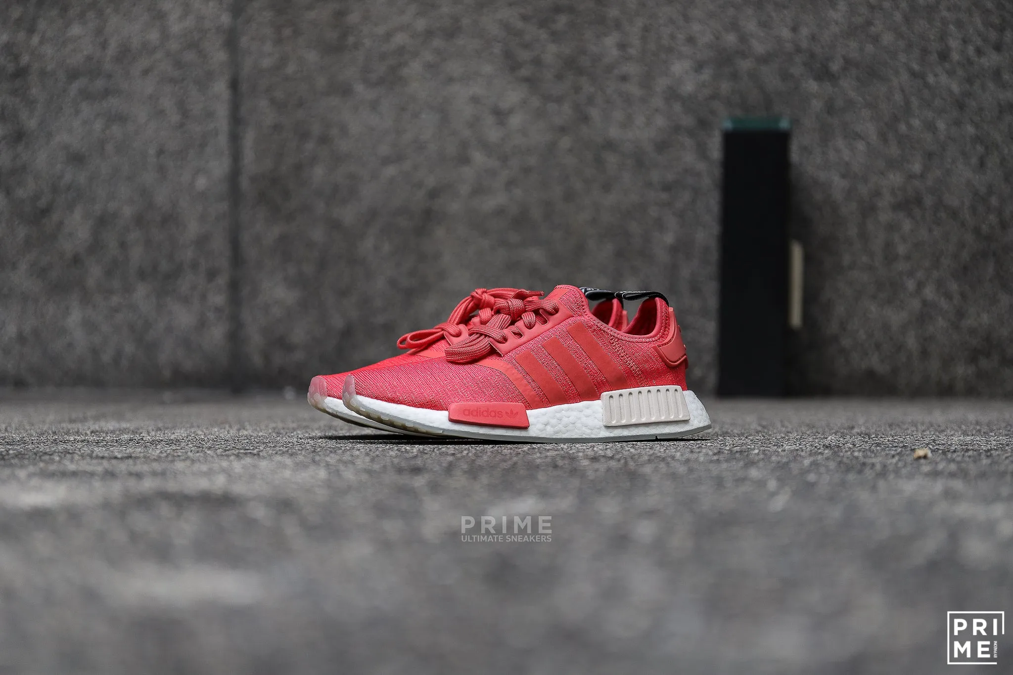 Adidas NMD R1  Trace Scalet   (CQ2014)