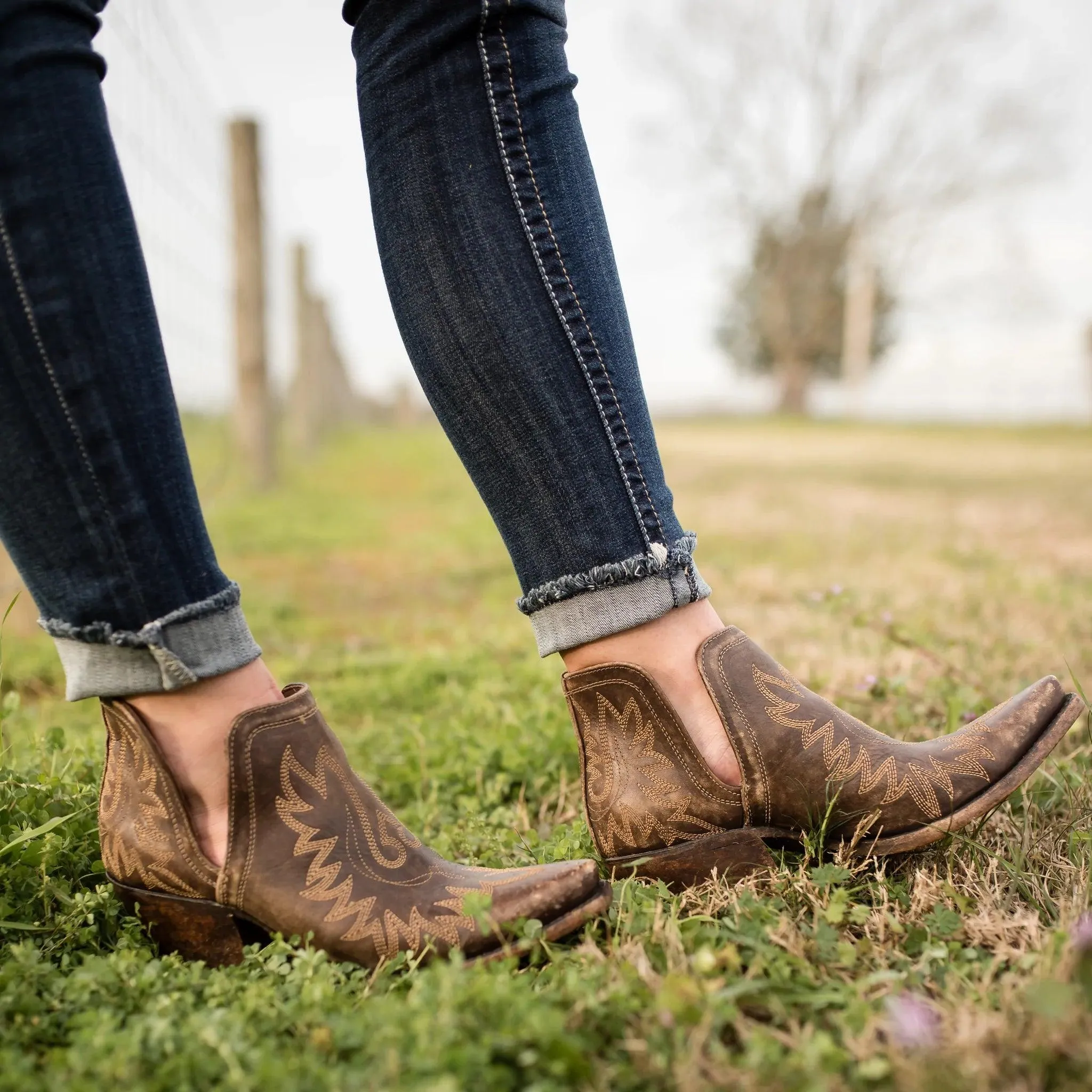 Ariat Women's Dixon Weathered Brown Ankle Boots 10027282