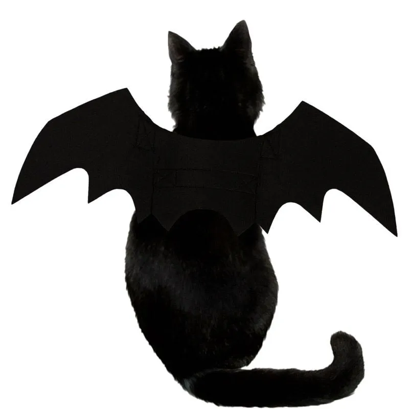 Bat Wings | Cat Costume