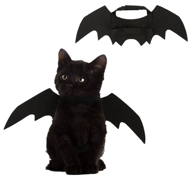 Bat Wings | Cat Costume