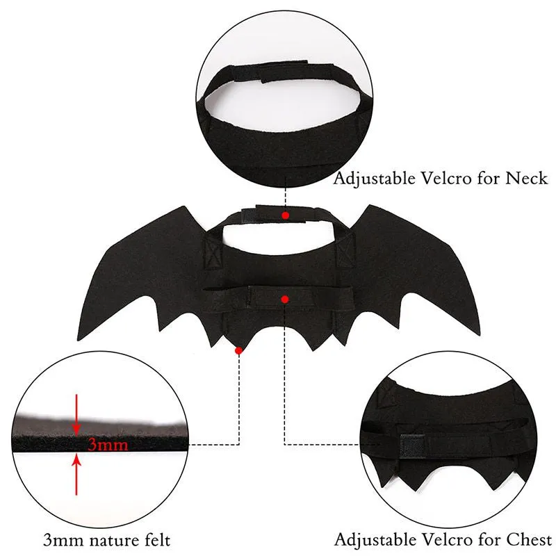 Bat Wings | Cat Costume