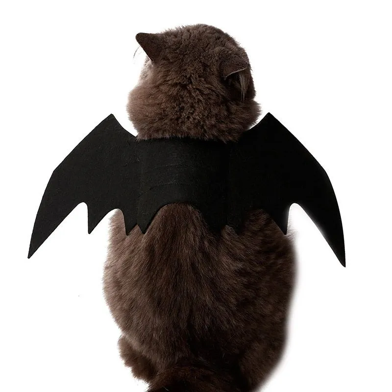 Bat Wings | Cat Costume