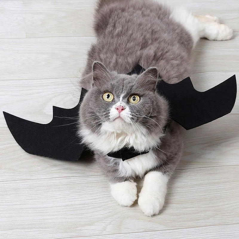 Bat Wings | Cat Costume