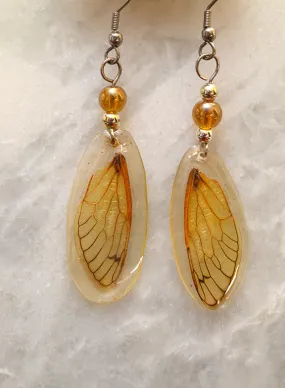 Cicada Earrings