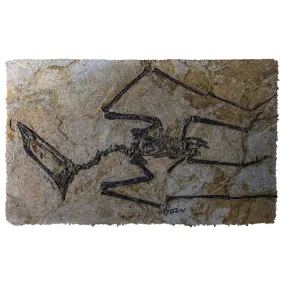 Gearhuman 3D Flying Dinosaur Fossil Doormat