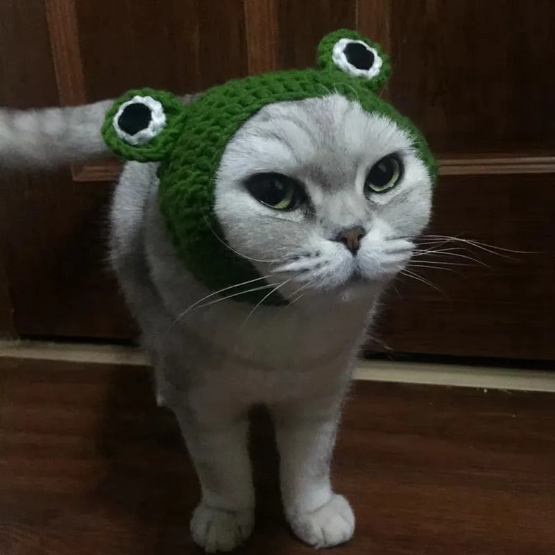 Knitted Frog Hat | Cat Costume